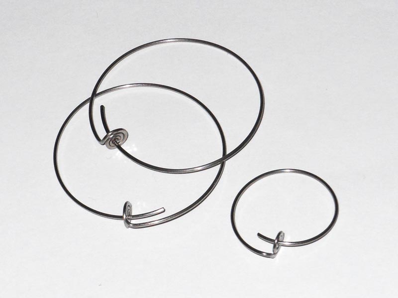 Titanium Closed Hoop Earrings – NO ALLOYS.jpg