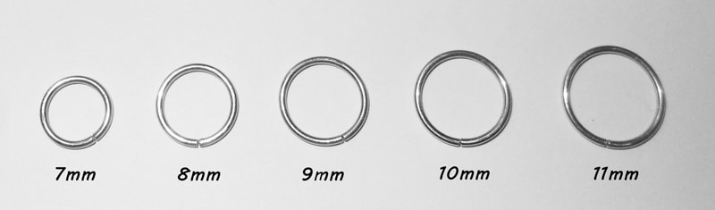 Titanium Endless Hoop Healing Starter Earrings.jpg
